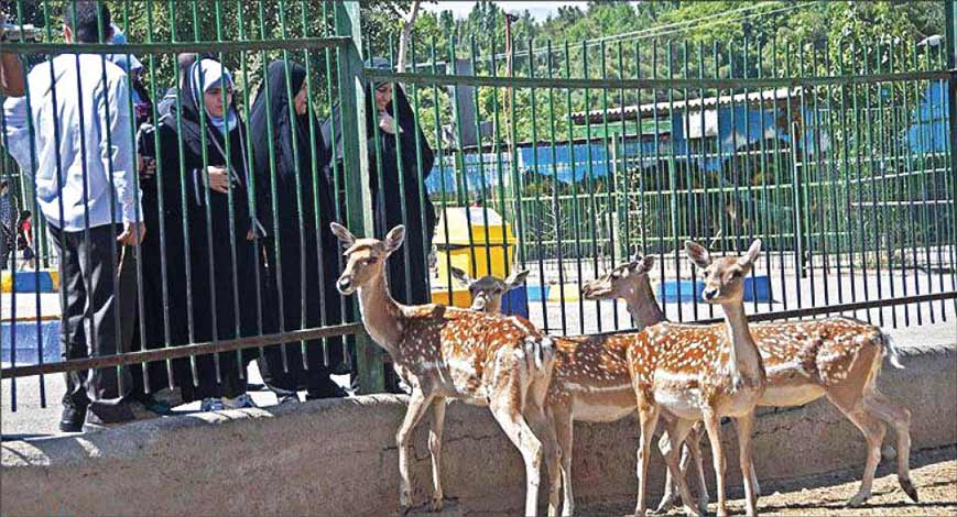 حديقة حيوان وكيل أباد مشهد - توریست طب