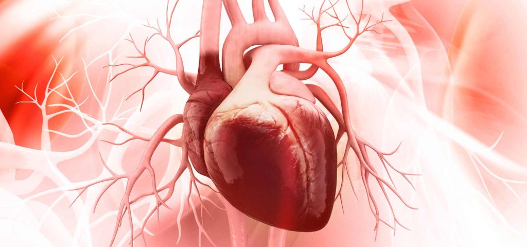 مقدمة كاملة عن جراحة الأبهر القلبي وأهميتها
